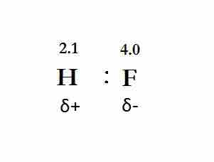 The polar covalent bond, HF.